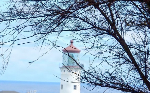 U.S. Navy and Friends of Kauaʻi Wildlife Refuge Sign Cooperative Agreement to Expand Seabird and Waterbird Habitat at the Kauaʻi National Wildlife Refuge Complex