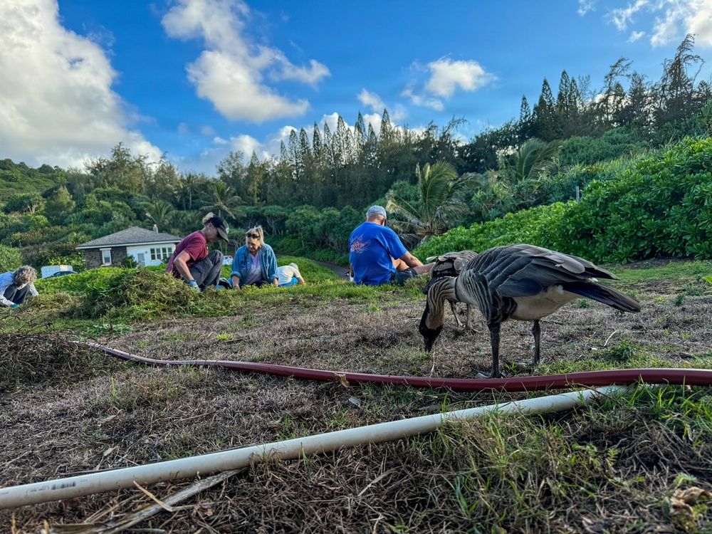 U.S. Navy and Friends of Kauaʻi Wildlife Refuge Sign Cooperative Agreement to Expand Seabird and Waterbird Habitat at the Kauaʻi National Wildlife Refuge Complex