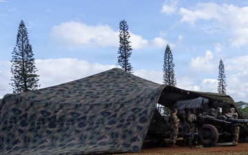 Artillery in Action: Soldiers Aim for Excellence