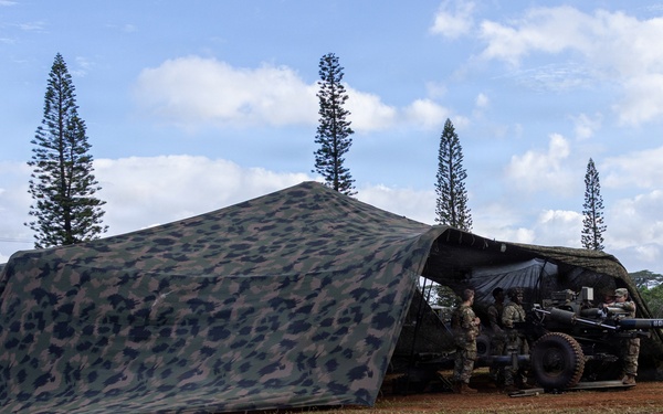 Artillery in Action: Soldiers Aim for Excellence