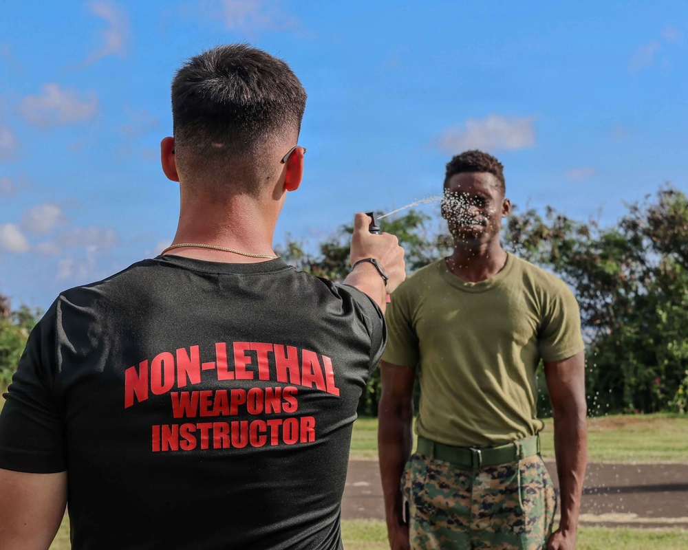 Marines Sharpen Non-Lethal Response