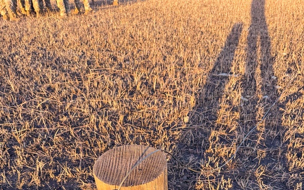 175th MRBC Strengthens Lethality Through Advanced Marksmanship and Demolition Training