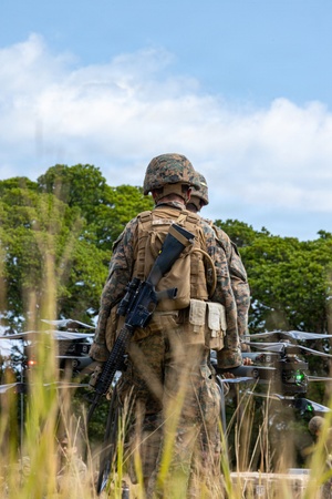 AFN Naples Regional News