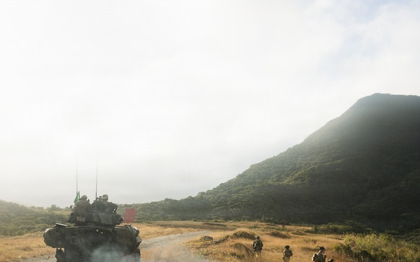 31st MEU | LAR and CAAT integrated section attacks