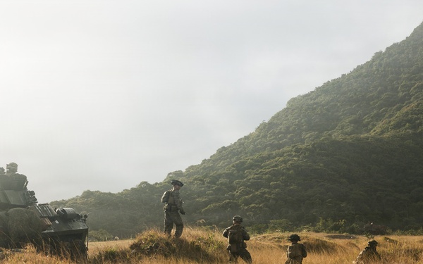 31st MEU | LAR and CAAT integrated section attacks