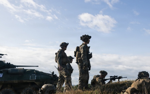 31st MEU | LAR and CAAT integrated section attacks