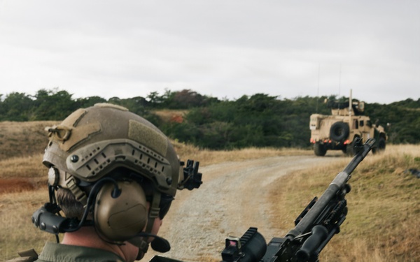 31st MEU | LAR and CAAT integrated section attacks