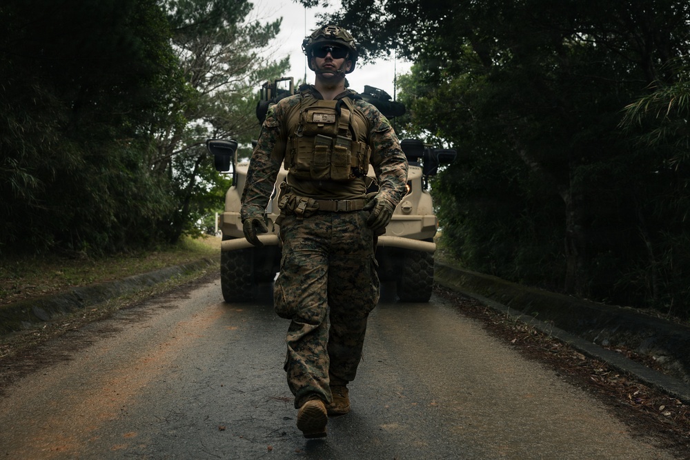 31st MEU | LAR and CAAT integrated section attacks