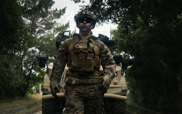 31st MEU | LAR and CAAT integrated section attacks