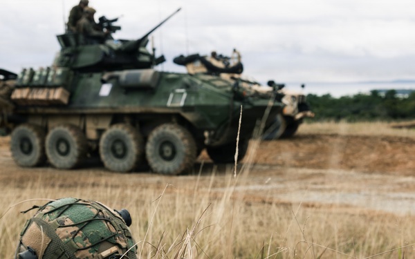 31st MEU | LAR and CAAT integrated section attacks