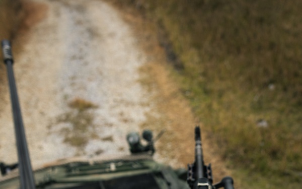 31st MEU | LAR and CAAT integrated section attacks