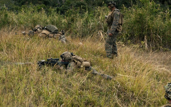 31st MEU | LAR and CAAT integrated section attacks