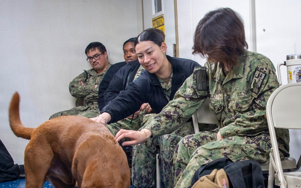 USS Carl Vinson (CVN 70) daily operations