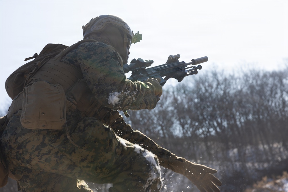 Marines Conduct Live Fire Team Attacks during Korea Viper 26.2