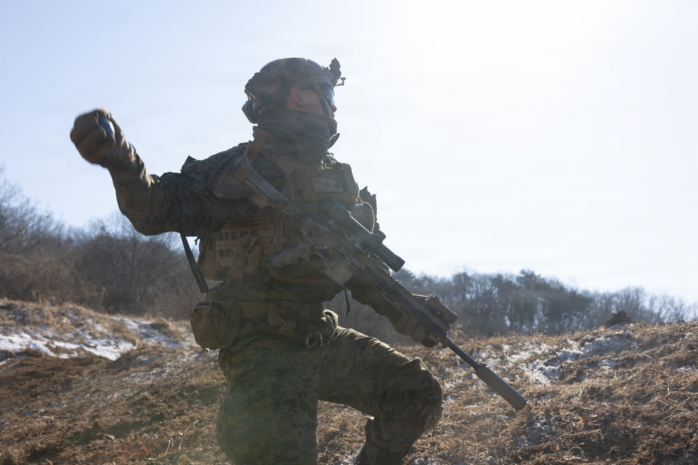 Marines Conduct Live Fire Team Attacks during Korea Viper 26.2