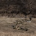 Marines Conduct Live Fire Team Attacks during Korea Viper 26.2