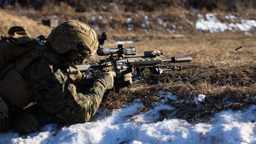 Marines Conduct Live Fire Team Attacks during Korea Viper 26.2