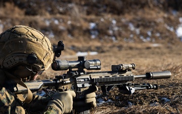 Marines Conduct Live Fire Team Attacks during Korea Viper 26.2