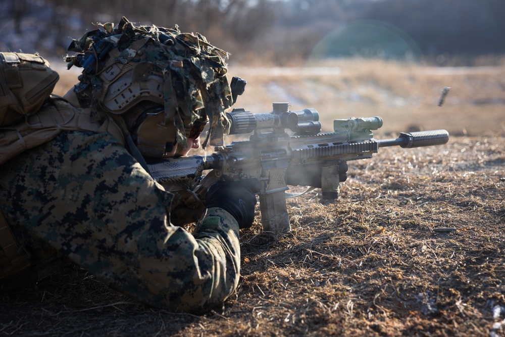 Marines Conduct Live Fire Team Attacks during Korea Viper 26.2