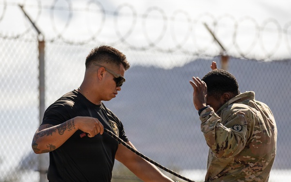 U.S. Army Soldiers conduct Air Assault training across Oahu