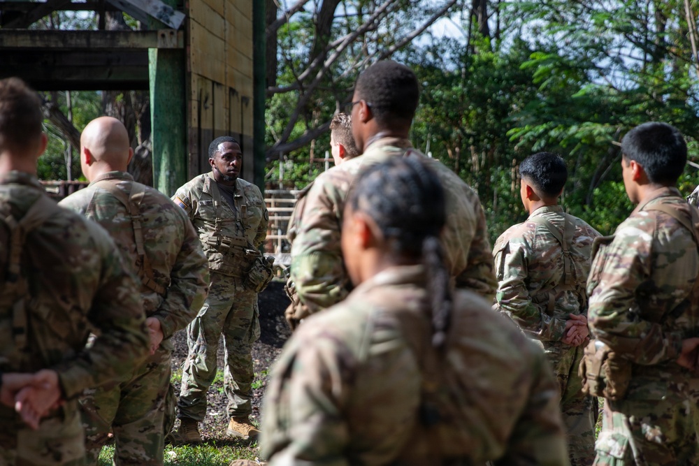 U.S. Army Soldiers conduct Air Assault training across Oahu