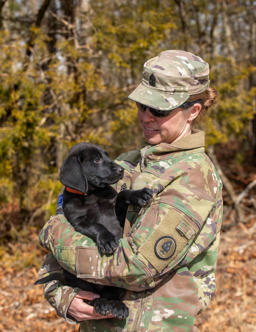 Puppies help boost morale during Brigade Best Warrior Competition
