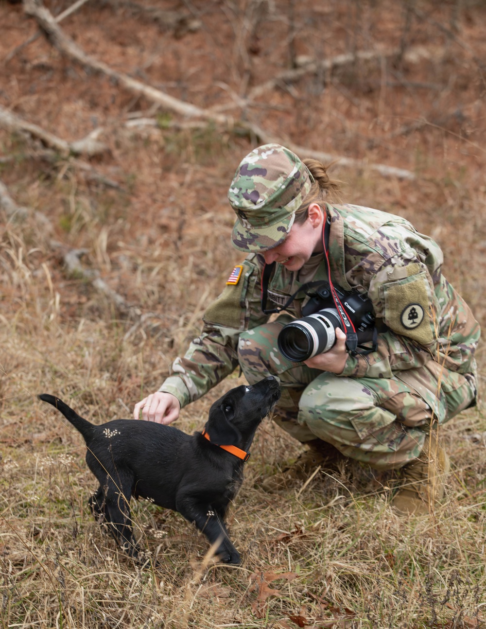Puppies help boost morale during Brigade Best Warrior Competition