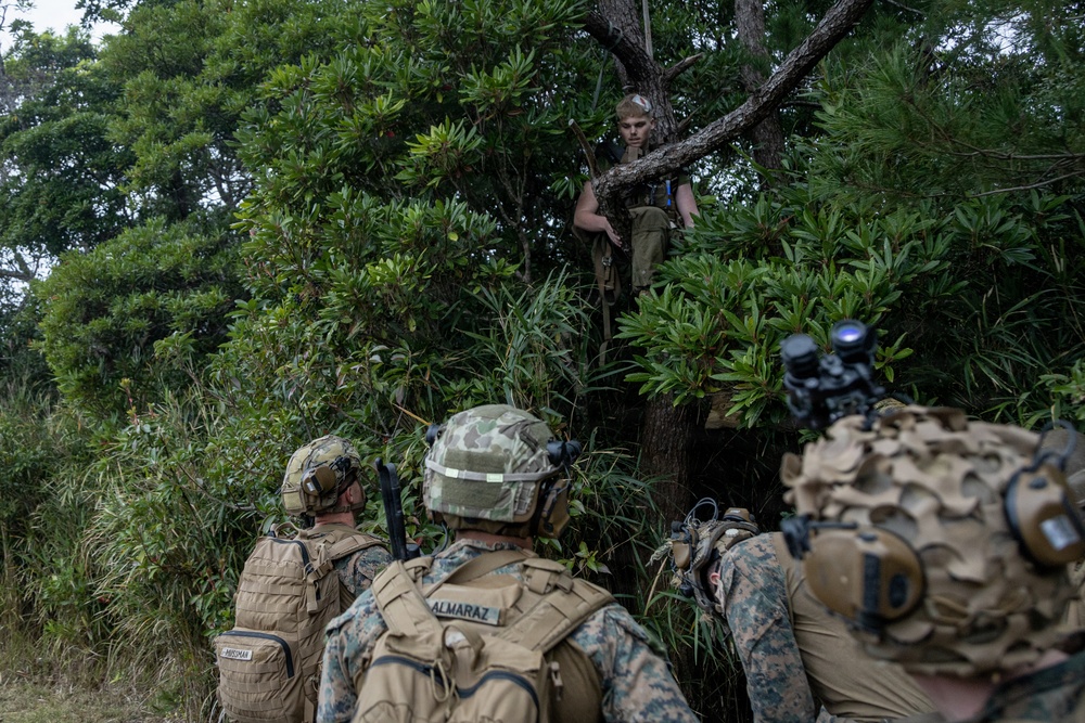 TRAP Conduct Rescue Mission