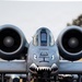 386TH AEW Performs FOD Walk, Recovers A-10C Aircraft After Flight