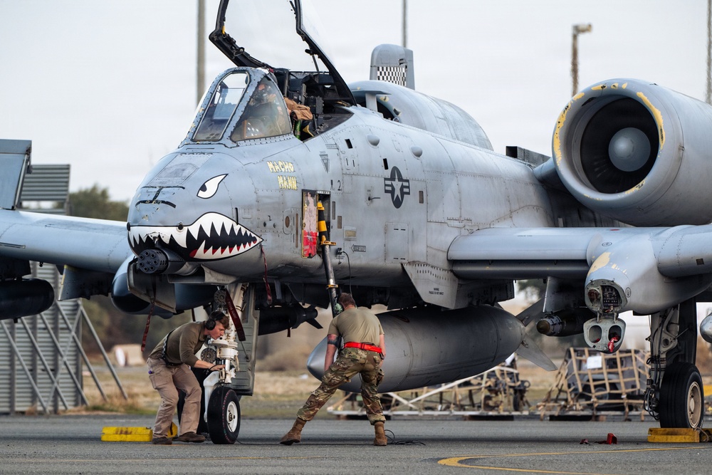 386TH AEW Performs FOD Walk, Recovers A-10C Aircraft After Flight