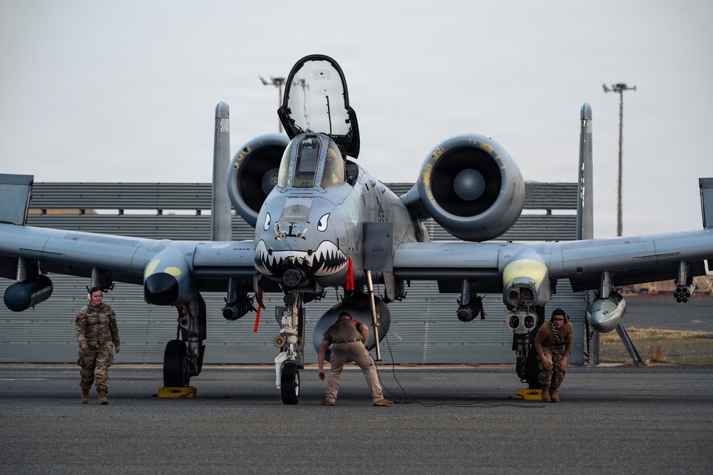 386TH AEW Performs FOD Walk, Recovers A-10C Aircraft After Flight