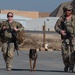 332nd Expeditionary Security Forces Squadron K-9 unit operates within CENTCOM AOR