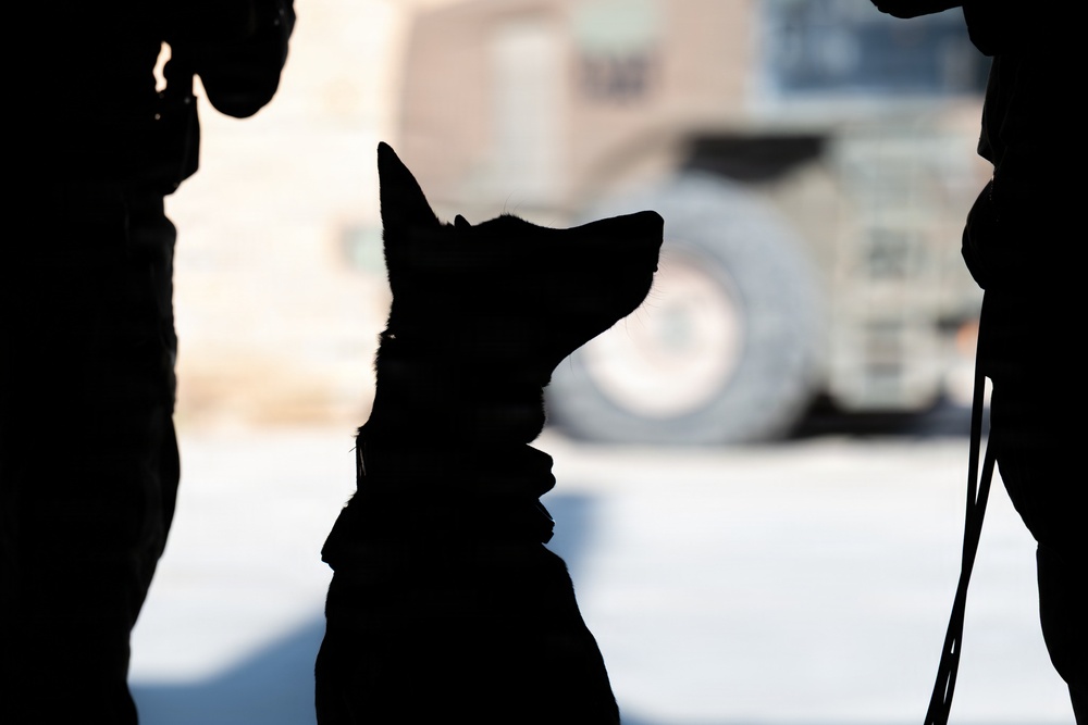332nd Expeditionary Security Forces Squadron K-9 unit operates within CENTCOM AOR