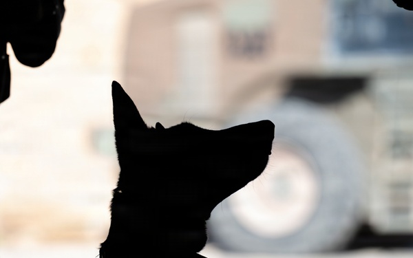 332nd Expeditionary Security Forces Squadron K-9 unit operates within CENTCOM AOR