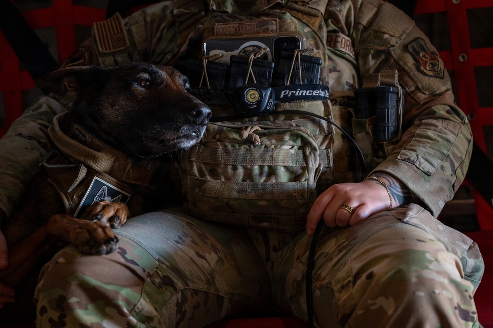 332nd Expeditionary Security Forces Squadron K-9 unit operates within CENTCOM AOR