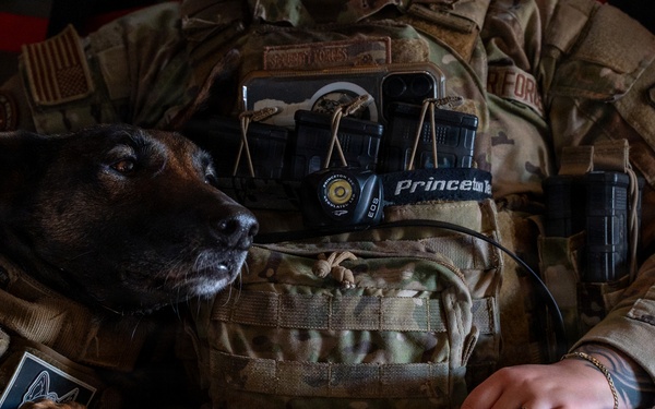 332nd Expeditionary Security Forces Squadron K-9 unit operates within CENTCOM AOR