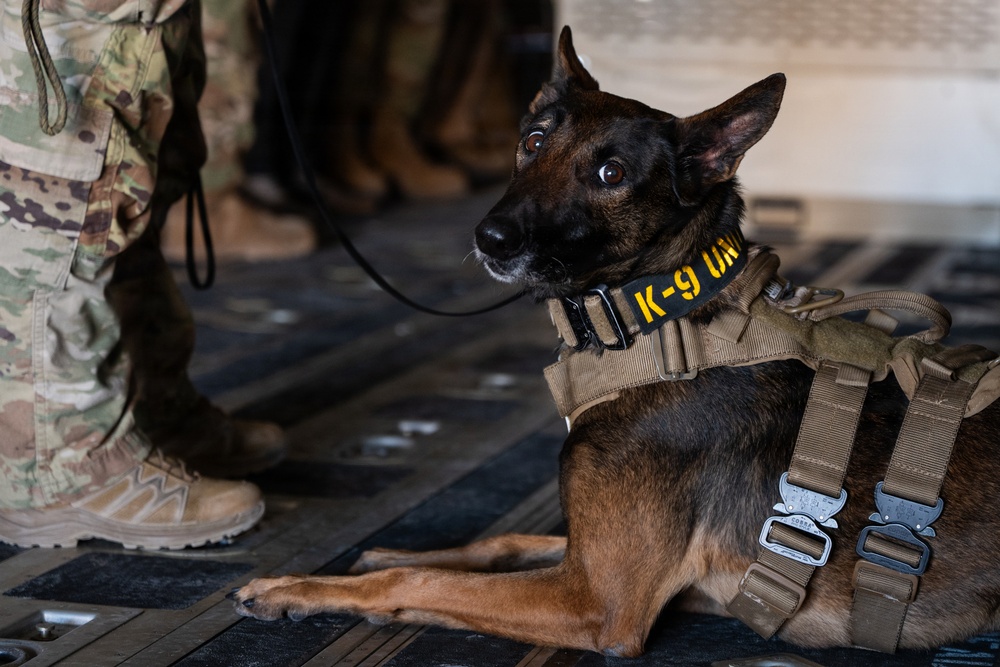 332nd Expeditionary Security Forces Squadron K-9 unit operates within CENTCOM AOR