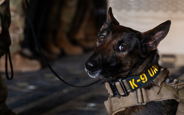 332nd Expeditionary Security Forces Squadron K-9 unit operates within CENTCOM AOR