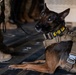 332nd Expeditionary Security Forces Squadron K-9 unit operates within CENTCOM AOR