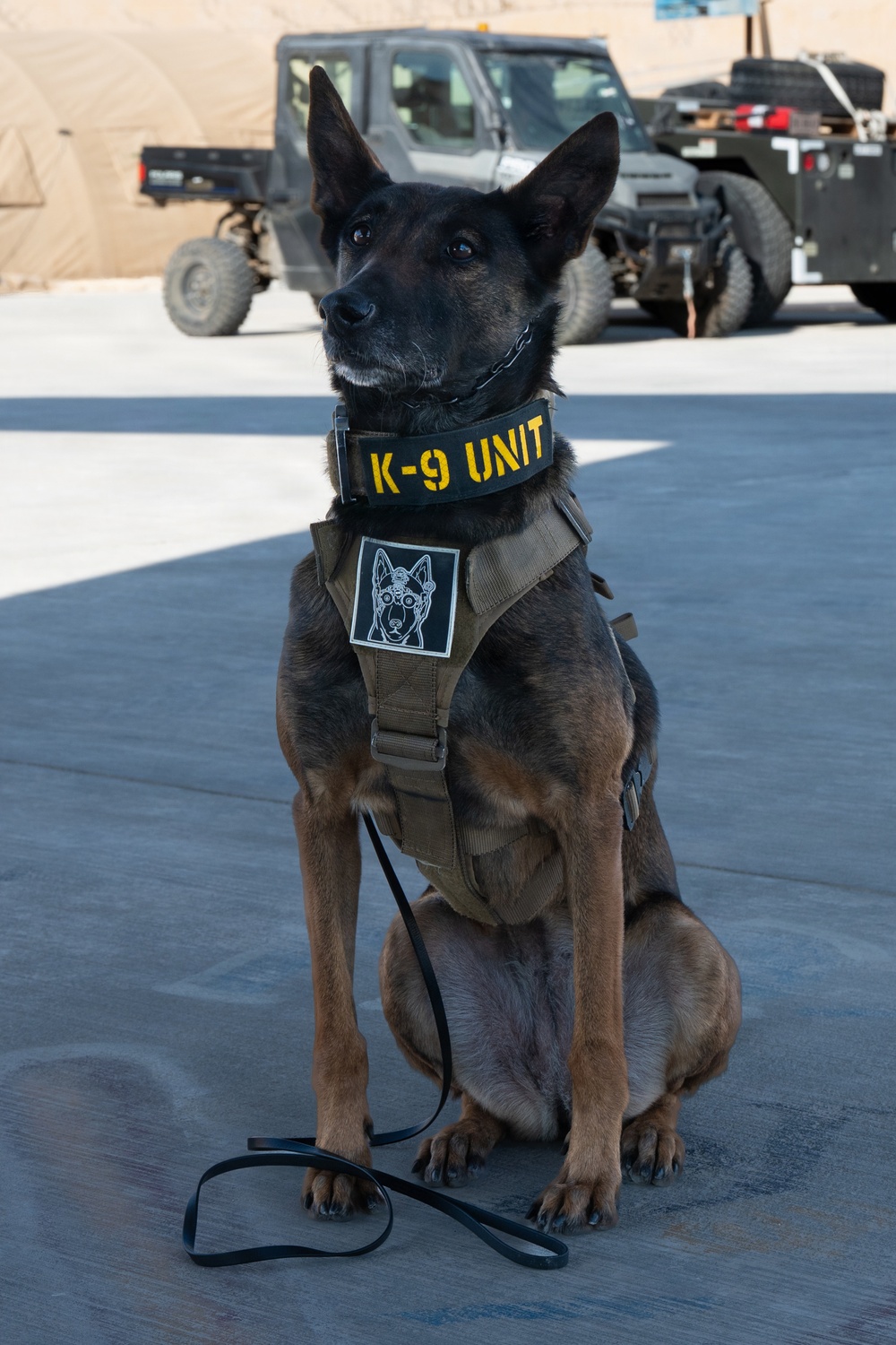 332nd Expeditionary Security Forces Squadron K-9 unit operates within CENTCOM AOR
