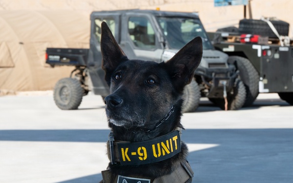 332nd Expeditionary Security Forces Squadron K-9 unit operates within CENTCOM AOR