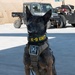332nd Expeditionary Security Forces Squadron K-9 unit operates within CENTCOM AOR