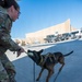 332nd Expeditionary Security Forces Squadron K-9 unit operates within CENTCOM AOR