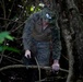 Jungle Operations Training Course - Panama: Machete techniques and water purification