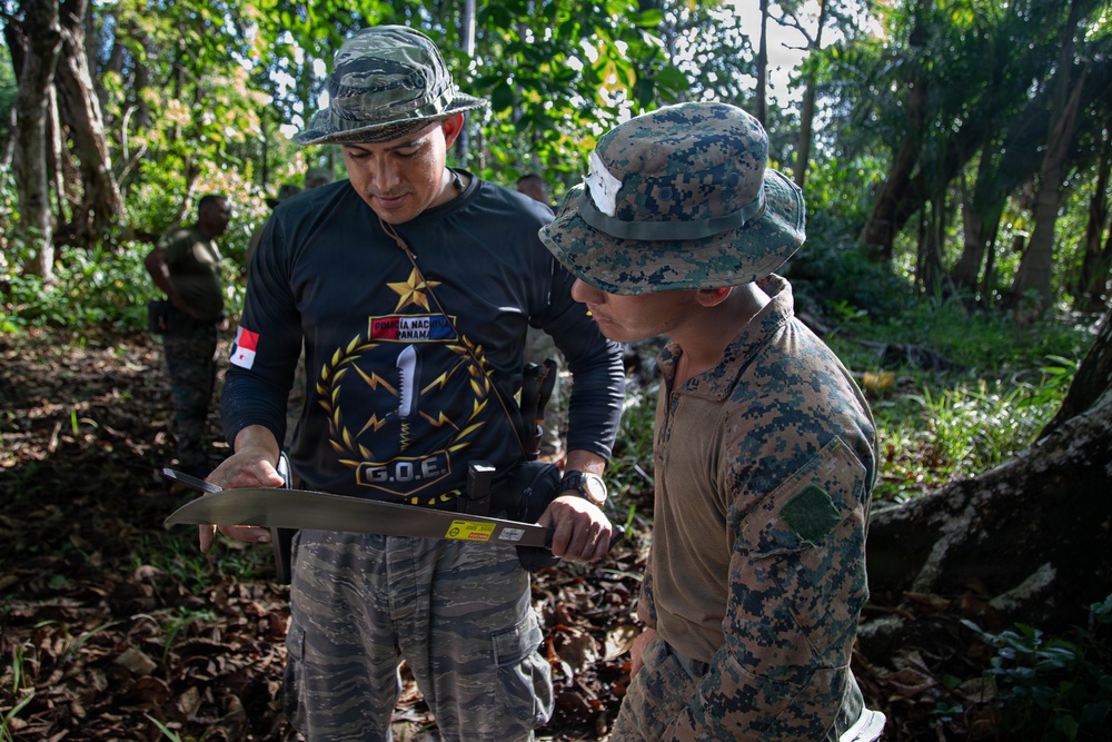 Jungle Operations Training Course - Panama: Machete techniques and water purification
