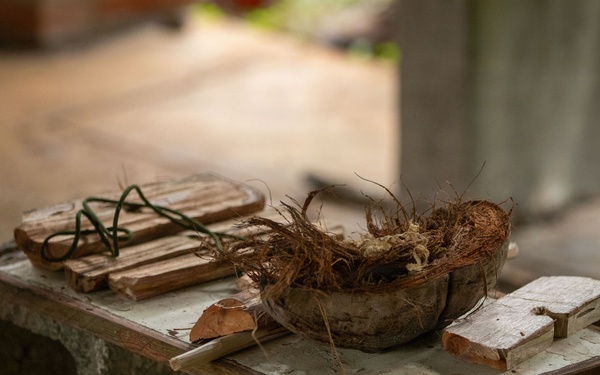 Jungle Operations Training Course-Panama: Primitive Fire Training