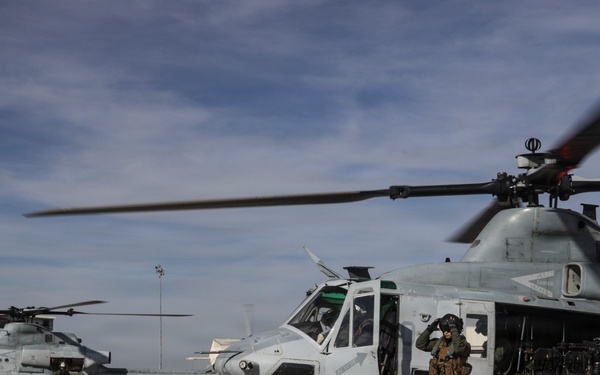 HMLA-367 conducts live-fire training