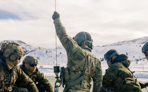 U.S. service members practice joint-service casualty evacuation drills during Mountain Medicine Course 1-26