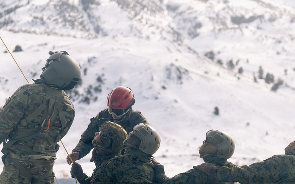 U.S. service members practice joint-service casualty evacuation drills during Mountain Medicine Course 1-26