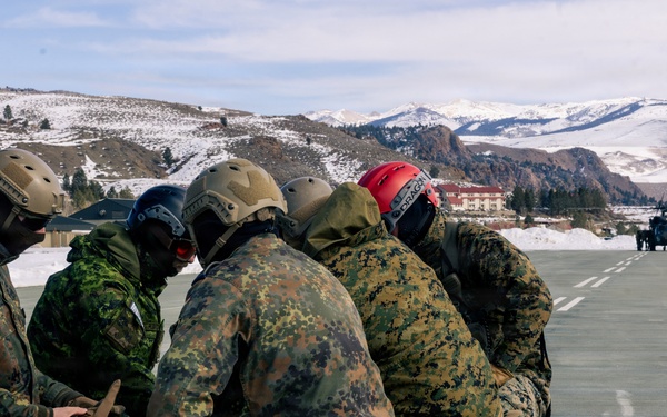 U.S. service members practice joint-service casualty evacuation drills during Mountain Medicine Course 1-26